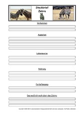 Zebra-Steckbriefvorlage.pdf